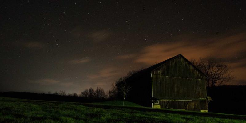 Laura Vandery29: A Deep Dive into Her Creative Portfolio of Purple Art and Illustration