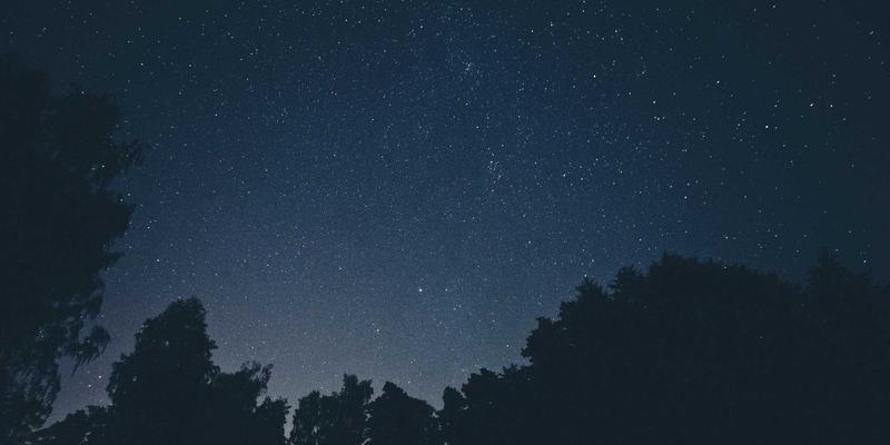 Laura Vandery52: Exploring the Depths of Artistic Works and Digital Purple Art