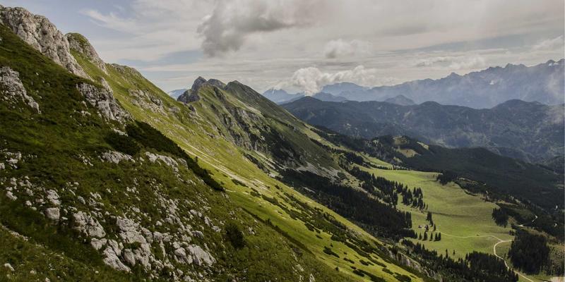 Laura Vandery54：紫色艺术宇宙中的创意档案与情感表达