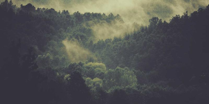 Laura Vandery6: A Visionary in Digital Art and Purple Aesthetics