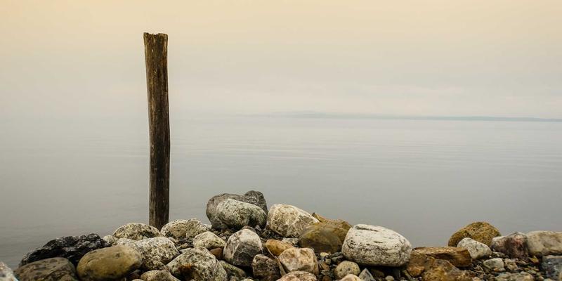 Laura Vandery：从涂鸦艺术到精致插画的视觉叙事者