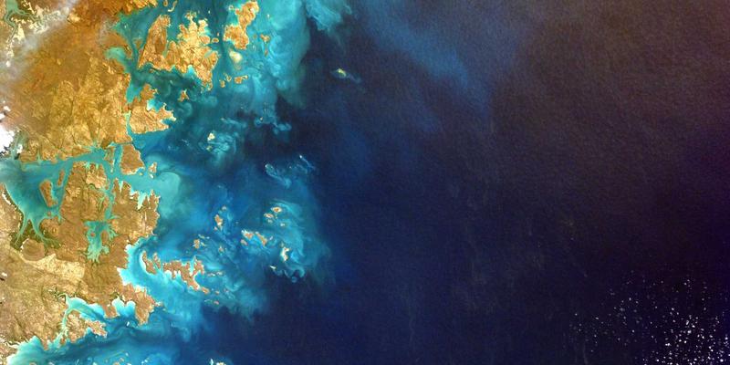 Laura Vandery：当代插画艺术中的诗意叙事者