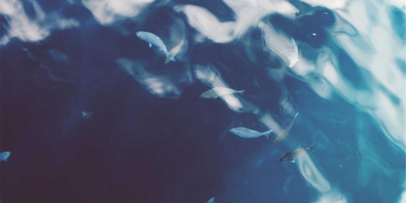 Laura Vandery：当数字艺术遇见可持续设计，环保材料的创新实践