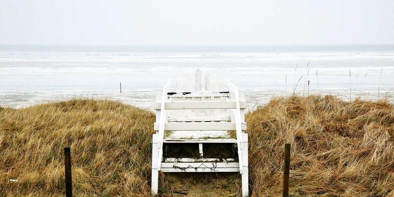 Laura Vandery：数字艺术与插画世界的造梦者