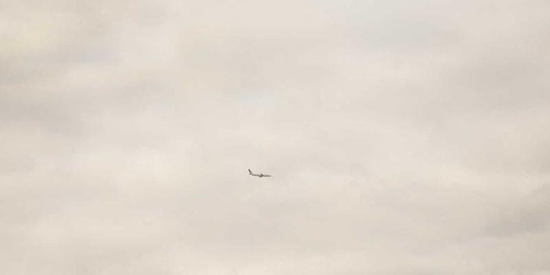 Laura Vandery的紫色艺术世界：从社交媒体到线下展览的完整品牌构建指南