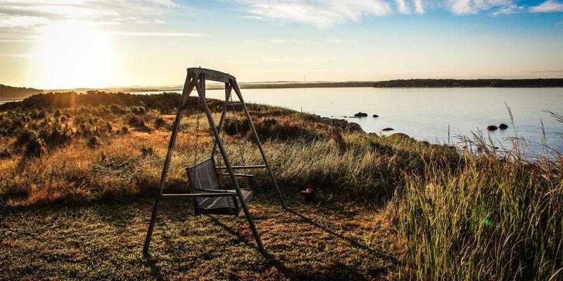 Laura Vandery的紫色艺术疗愈：创意作品集如何成为现代人的情绪出口