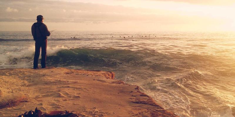 Laura Vandery:紫色艺术与创意档案的探索之旅