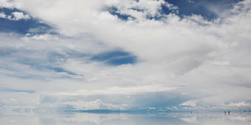 Laura Vandery趋势：数字艺术与紫色美学的创意革命