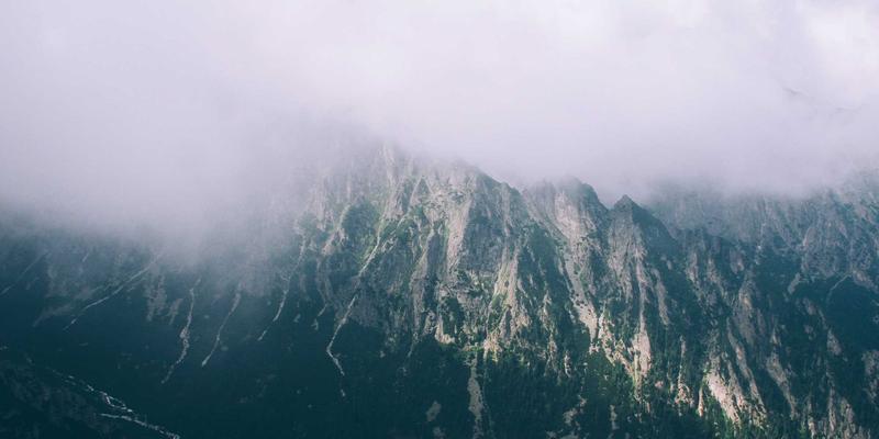 从Art Design到日常穿搭：解析Laura Vandery的艺术作品与个人风格哲学