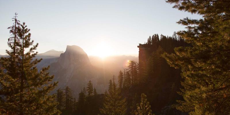 从Laura Vanderboom到创意巅峰：如何用插画与数字艺术构建惊艳作品集
