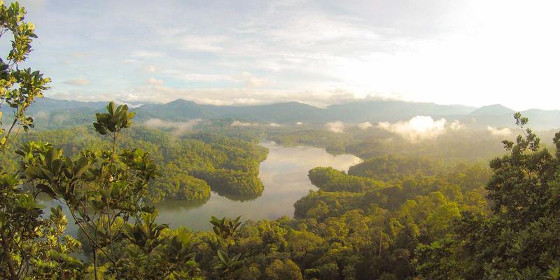 从涂鸦到数字艺术：解密Laura Vandery作品中紫色与暖色调的情感心理学