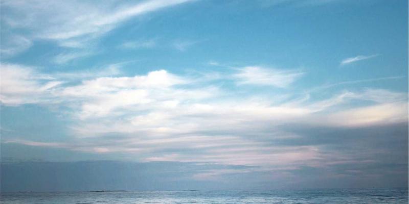 从画板到屏幕：Laura Vandery如何通过社交媒体真实展示插画与涂鸦艺术的创作过程