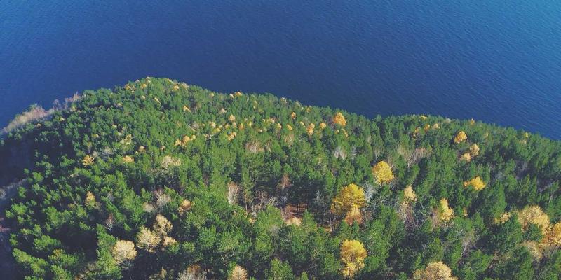 从街头到工作室：涂鸦艺术家Laura Vandery的艺术设计与生活平衡之道