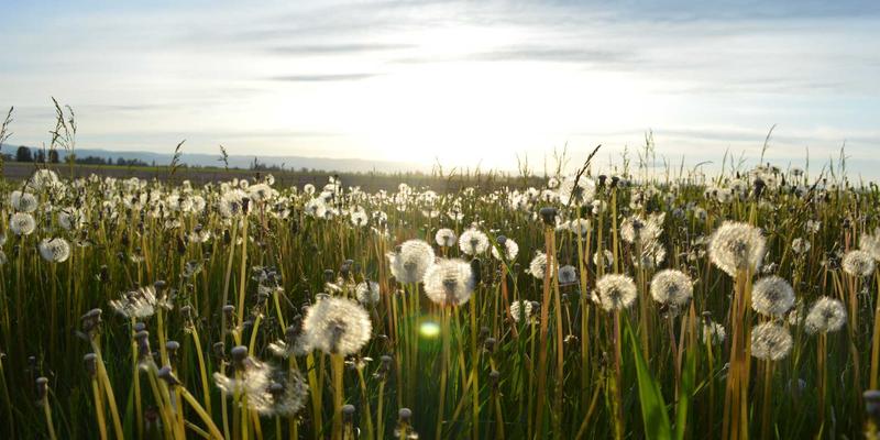 从街头涂鸦到创意殿堂：Laura Vandery的早期职业生涯与成长故事
