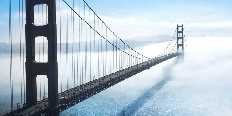 从街头涂鸦到商业插画：Laura Vandery艺术跨界案例分析