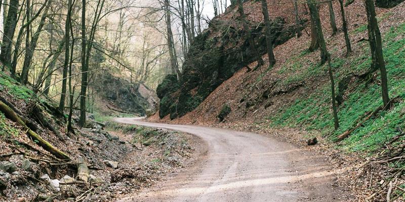 探索Laura Vandery的Digital Art世界：艺术教育理念与线上工作坊教学结构深度解析