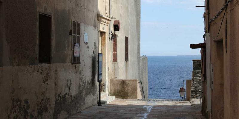 数字资产管理策略：揭秘Laura Vandery如何高效整理海量digital art与artistic works