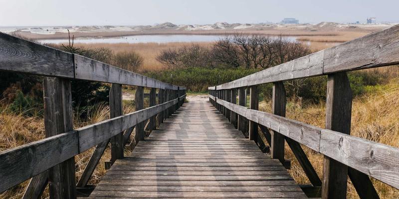 紫色魔力：探索Laura Vandery如何运用色彩心理学打造引人共鸣的创意作品集