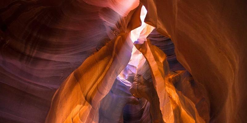 解密Laura Vandery的色彩实验室：独家紫色艺术调色技巧与未公开的色彩组合配方