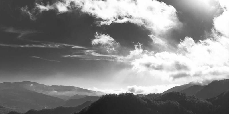 解密Laura Vandery的色彩心理学：为何紫色成为其艺术创作的标志性语言